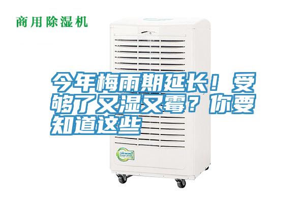 今年梅雨期延長(zhǎng)！受夠了又濕又霉？你要知道這些