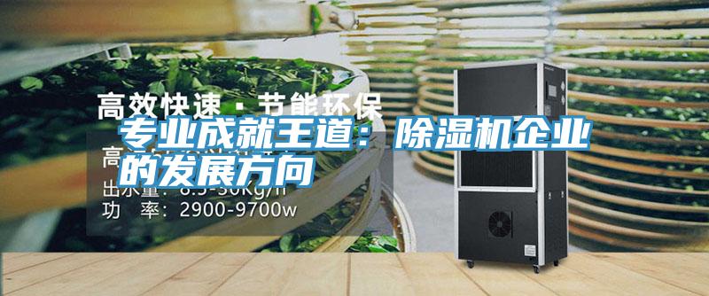 專業成就王道:除濕機企業的發展方向