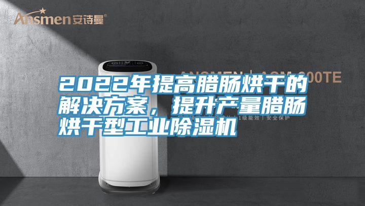 2022年提高臘腸烘干的解決方案,提升產量臘腸烘干型工業除濕機