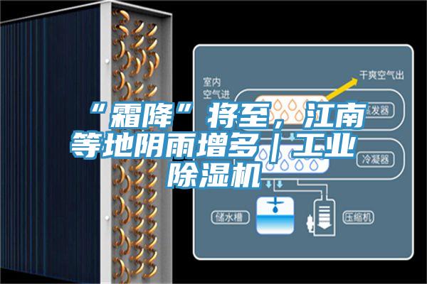 “霜降”將至，江南等地陰雨增多｜工業除濕機