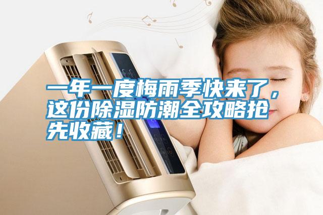 一年一度梅雨季快來了，這份除濕防潮全攻略搶先收藏！