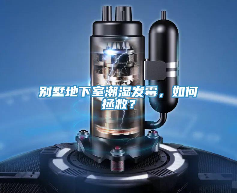 別墅地下室潮濕發霉，如何拯救？