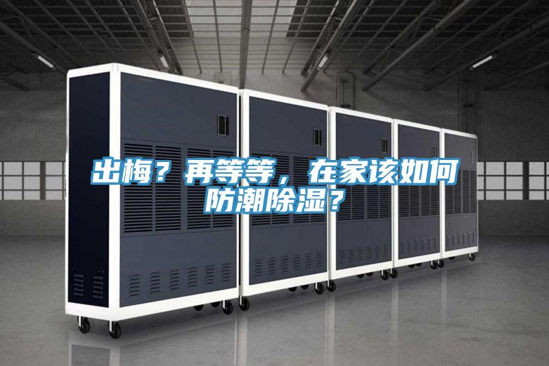 出梅？再等等，在家該如何防潮除濕？