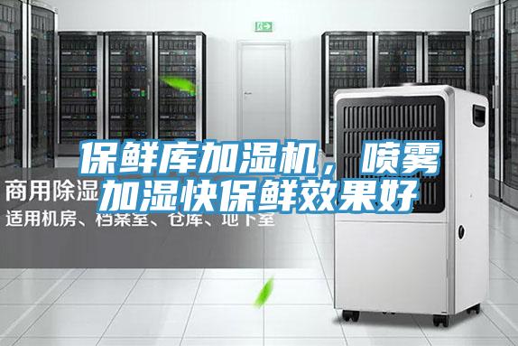 保鮮庫加濕機，噴霧加濕快保鮮效果好