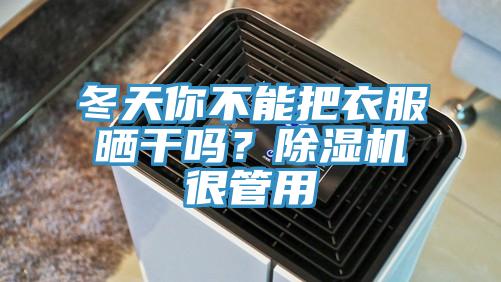 冬天你不能把衣服曬干嗎？除濕機很管用
