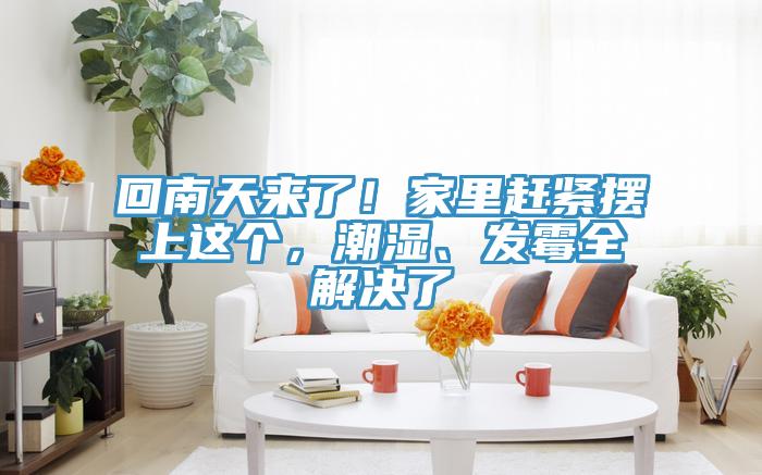 回南天來了！家里趕緊擺上這個，潮濕、發霉全解決了