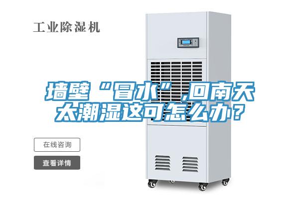 墻壁“冒水”,回南天太潮濕這可怎么辦？