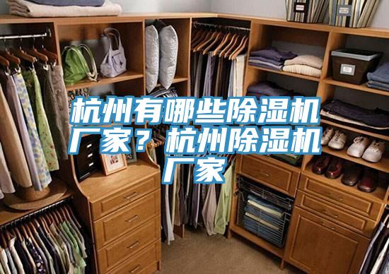 杭州有哪些除濕機廠家？杭州除濕機廠家