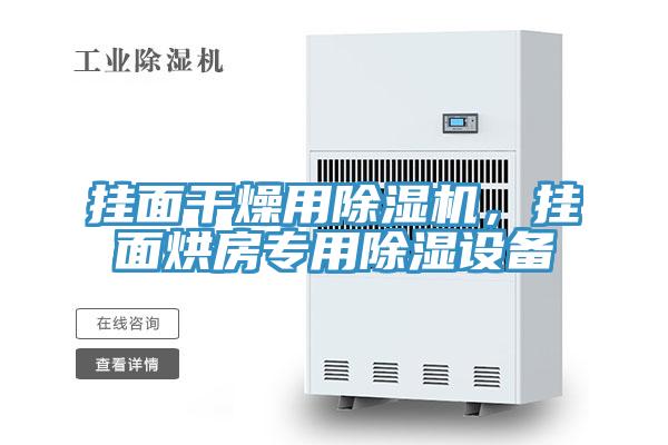 掛面干燥用除濕機，掛面烘房專用除濕設(shè)備