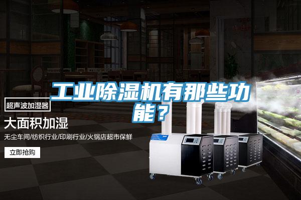 工業除濕機有那些功能？