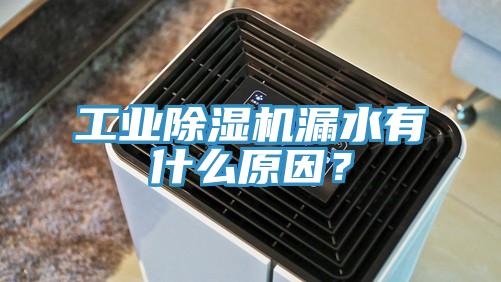 工業(yè)除濕機(jī)漏水有什么原因？