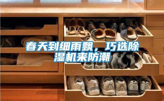 春天到細(xì)雨飄，巧選除濕機(jī)來(lái)防潮