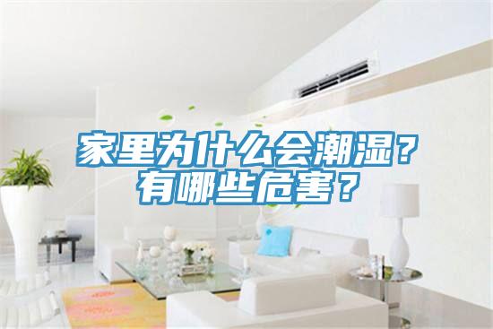 家里為什么會(huì)潮濕？有哪些危害？
