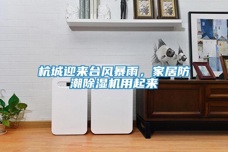 杭城迎來臺風暴雨，家居防潮除濕機用起來