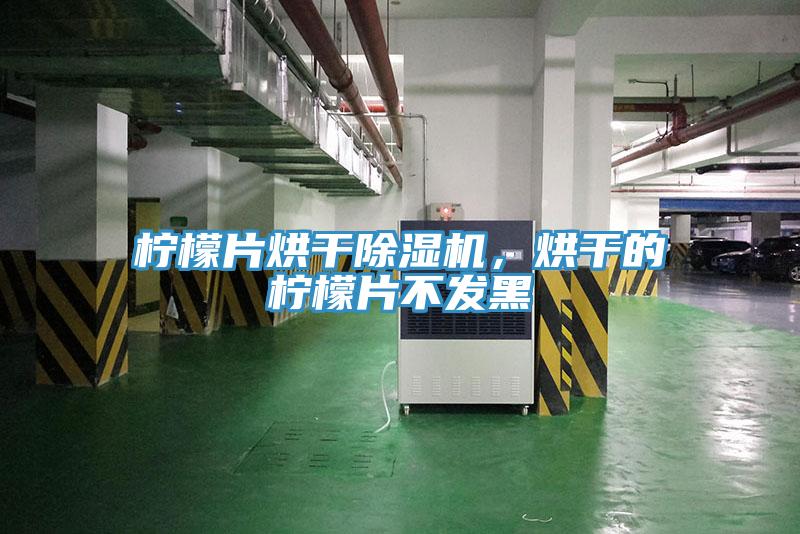 檸檬片烘干除濕機，烘干的檸檬片不發黑