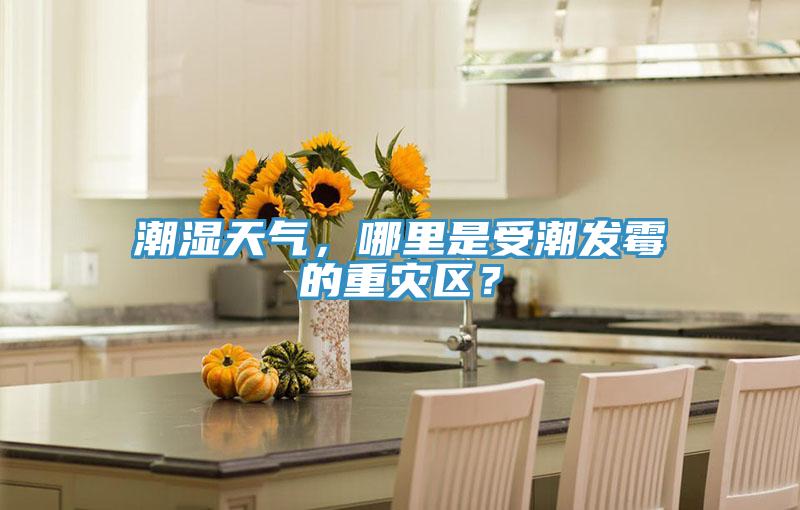 潮濕天氣，哪里是受潮發霉的重災區？