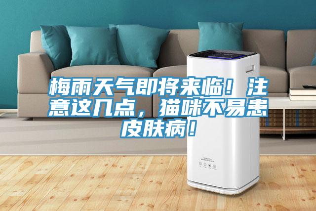 梅雨天氣即將來臨！注意這幾點(diǎn)，貓咪不易患皮膚病！