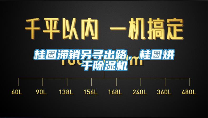 桂圓滯銷另尋出路，桂圓烘干除濕機