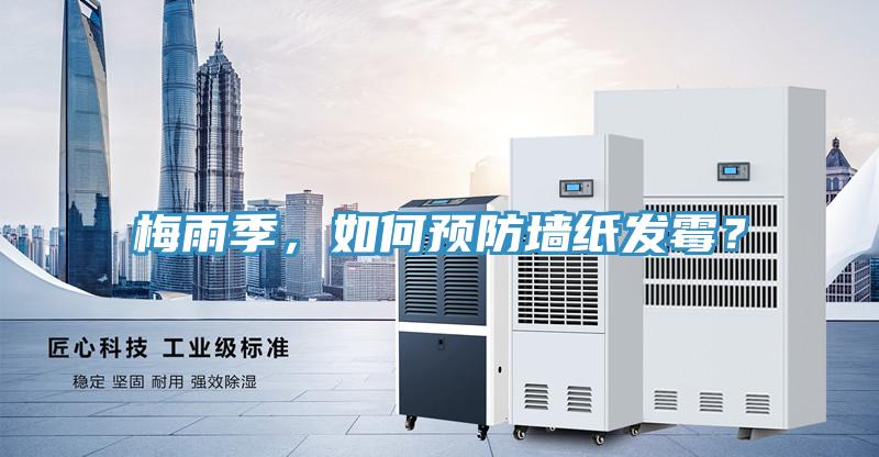 梅雨季，如何預(yù)防墻紙發(fā)霉？