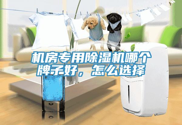機房專用除濕機哪個牌子好，怎么選擇
