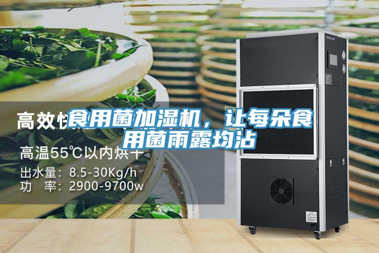 食用菌加濕機，讓每朵食用菌雨露均沾