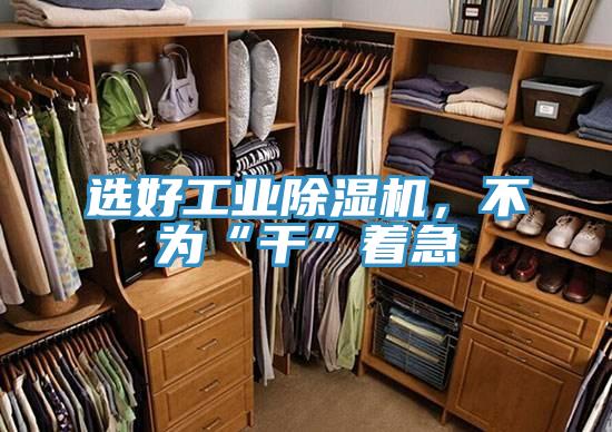 選好工業(yè)除濕機(jī)，不為“干”著急