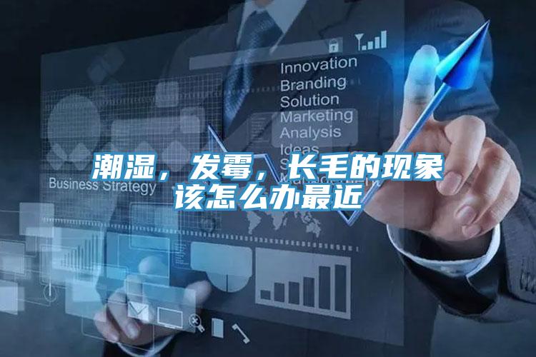潮濕，發(fā)霉，長(zhǎng)毛的現(xiàn)象該怎么辦最近