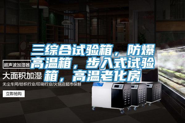三綜合試驗(yàn)箱，防爆高溫箱，步入式試驗(yàn)箱，高溫老化房