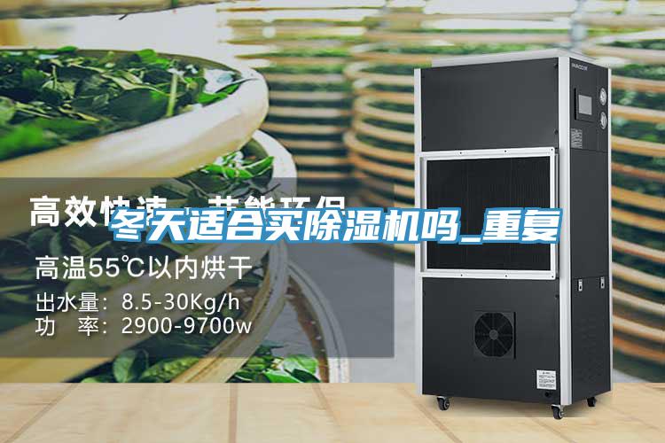 冬天適合買除濕機嗎_重復
