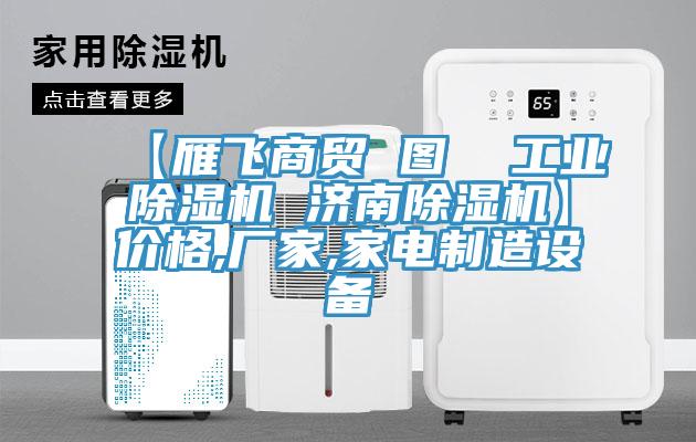 【雁飛商貿 圖  工業除濕機 濟南除濕機】價格,廠家,家電制造設備