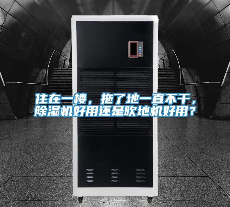 住在一樓，拖了地一直不干，除濕機(jī)好用還是吹地機(jī)好用？