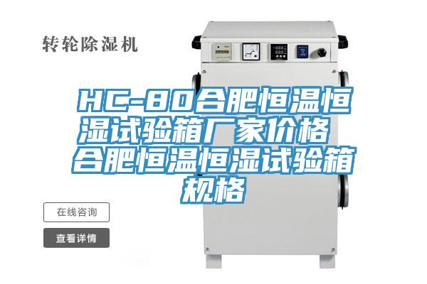 HC-80合肥恒溫恒濕試驗箱廠家價格 合肥恒溫恒濕試驗箱規格