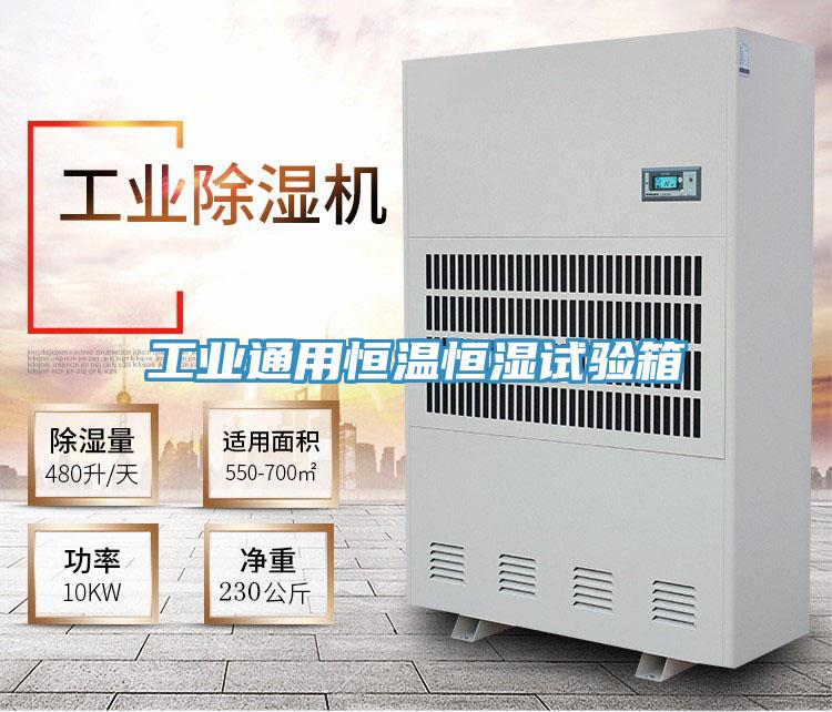 工業通用恒溫恒濕試驗箱