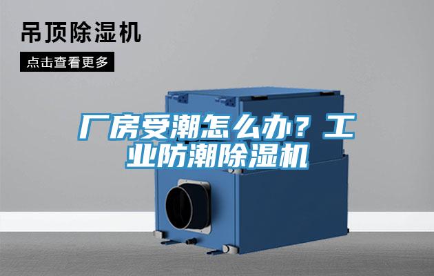 廠房受潮怎么辦？工業防潮除濕機