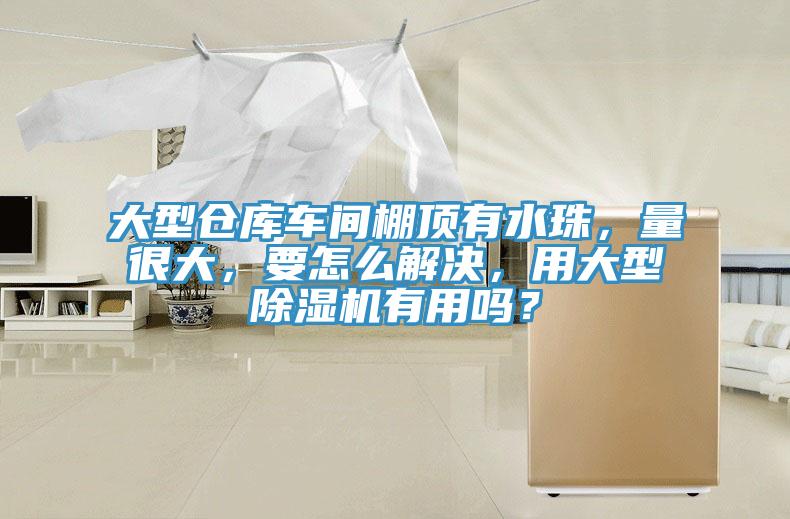 大型倉庫車間棚頂有水珠，量很大，要怎么解決，用大型除濕機有用嗎？