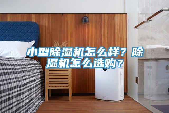 小型除濕機怎么樣？除濕機怎么選購？