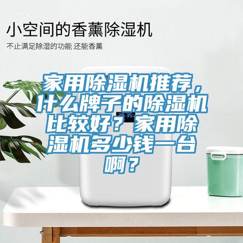 家用除濕機(jī)推薦，什么牌子的除濕機(jī)比較好？家用除濕機(jī)多少錢一臺啊？