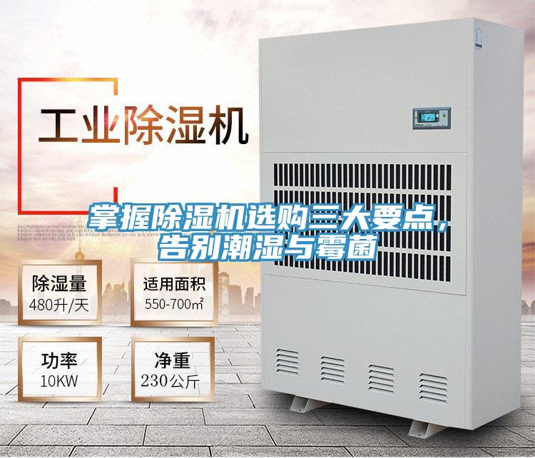 掌握除濕機選購三大要點，告別潮濕與霉菌