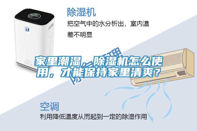 家里潮濕，除濕機怎么使用，才能保持家里清爽？