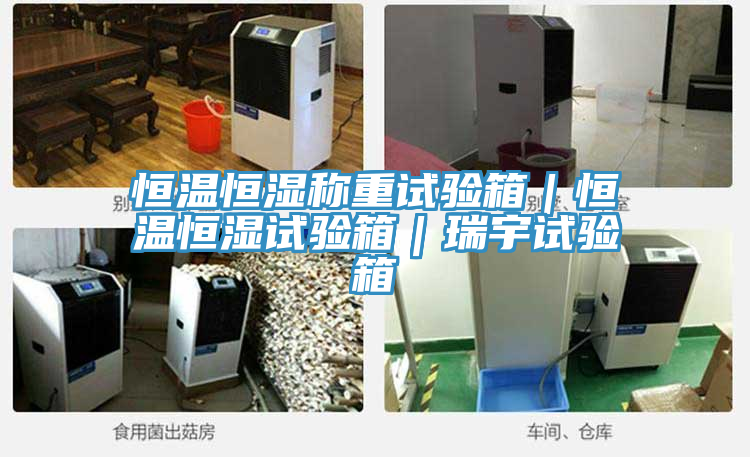 恒溫恒濕稱(chēng)重試驗(yàn)箱｜恒溫恒濕試驗(yàn)箱｜瑞宇試驗(yàn)箱