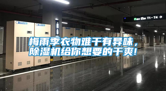 梅雨季衣物難干有異味，除濕機給你想要的干爽!