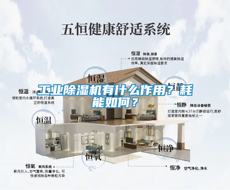 工業(yè)除濕機(jī)有什么作用？耗能如何？