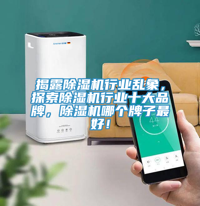 揭露除濕機行業亂象，探索除濕機行業十大品牌，除濕機哪個牌子最好！