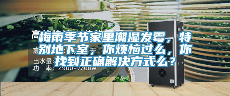梅雨季節(jié)家里潮濕發(fā)霉，特別地下室，你煩惱過么，你找到正確解決方式么？