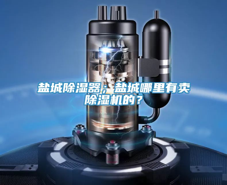 鹽城除濕器；鹽城哪里有賣除濕機(jī)的？