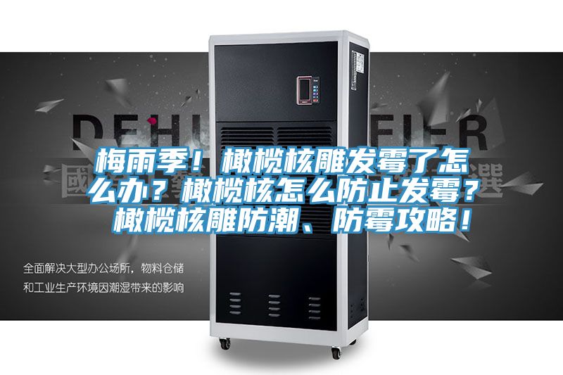 梅雨季！橄欖核雕發霉了怎么辦？橄欖核怎么防止發霉？ 橄欖核雕防潮、防霉攻略！