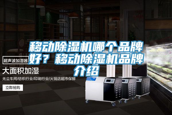 移動除濕機哪個品牌好？移動除濕機品牌介紹