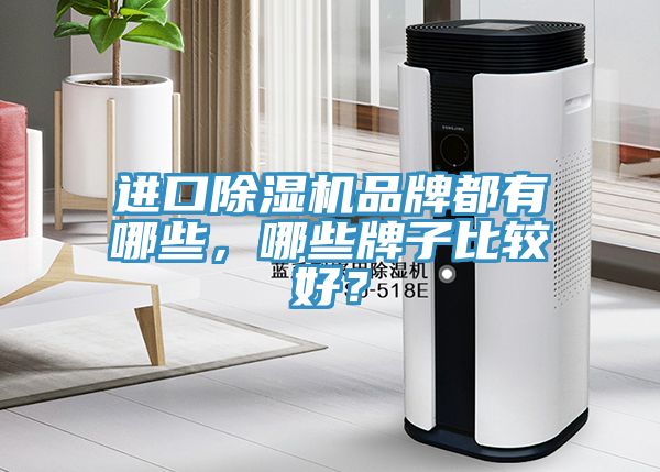 進口除濕機品牌都有哪些，哪些牌子比較好？