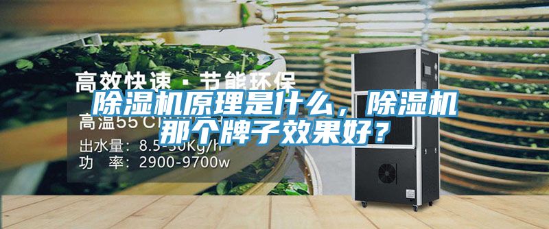 除濕機原理是什么，除濕機那個牌子效果好？