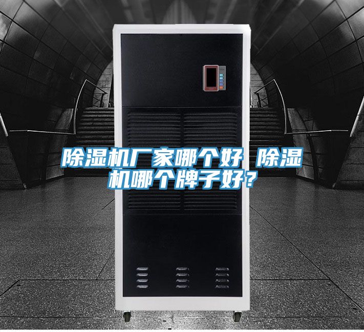 除濕機(jī)廠(chǎng)家哪個(gè)好 除濕機(jī)哪個(gè)牌子好？